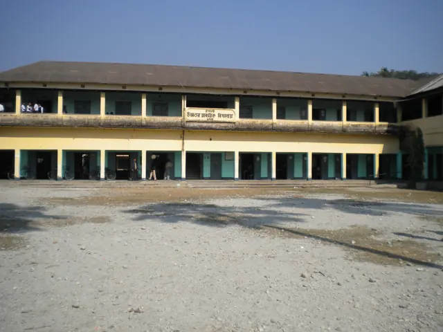 The school building and playground